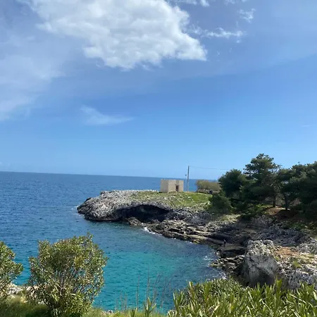 Matine & Matine - Salento Selection * Tricase