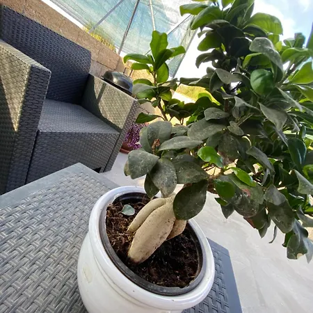 Matine & Matine - Salento Selection Vakantiehuis