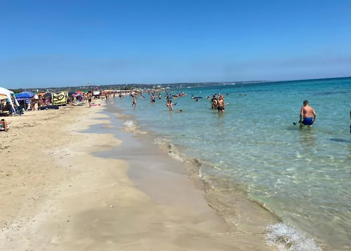 Matine & Matine - Salento Selection *