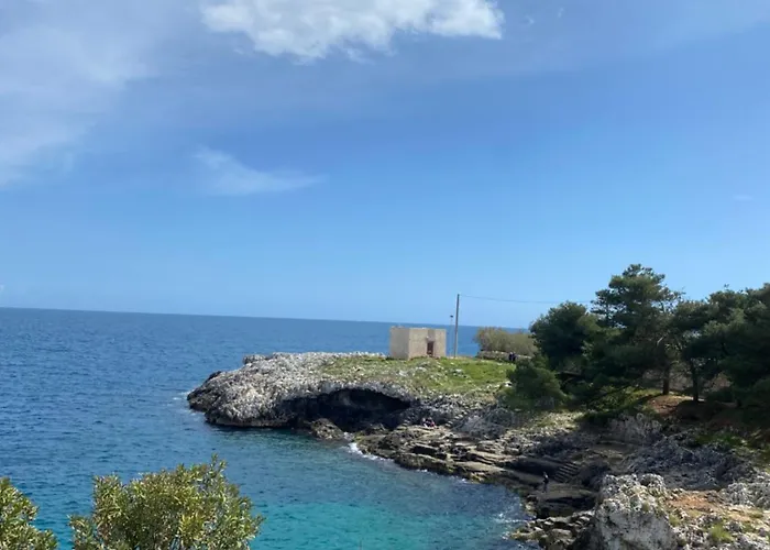 Matine & Matine - Salento Selection * Tricase